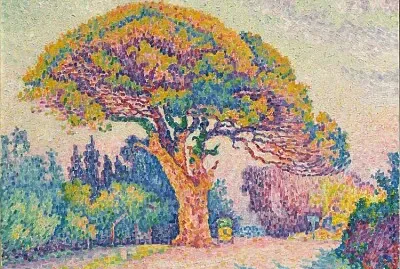 producto competencial