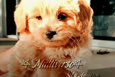 Sol y Angie⚔ jigsaw puzzle