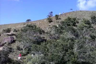 Generales jigsaw puzzle