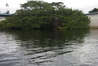 Generales jigsaw puzzle