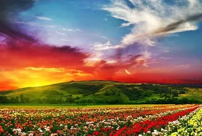Couleurs incroyables