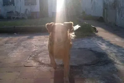 Santa Mona iluminada