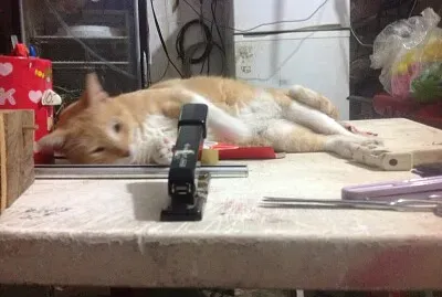 Bleica jigsaw puzzle