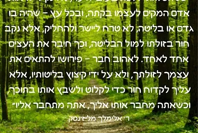 פאזל על ויתור