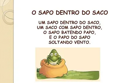 SAPO DENTRO DO SACO