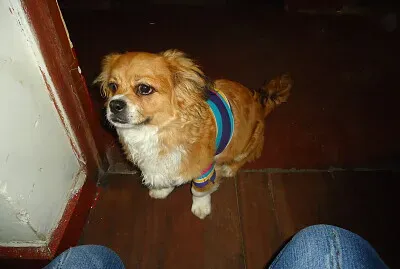 bt