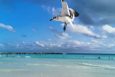 Recuerdos de Cancún