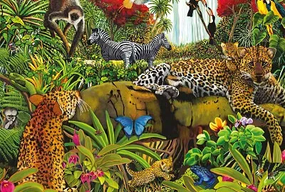 Animaux de jungle