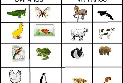 Reproducción de los animales