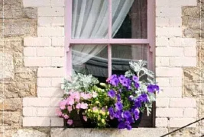 ventana