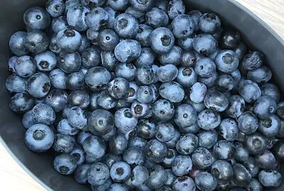 Blueberries