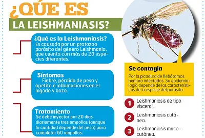 ROMPECABEZAS PARÁ DIVERTIRSE Y APRENDER