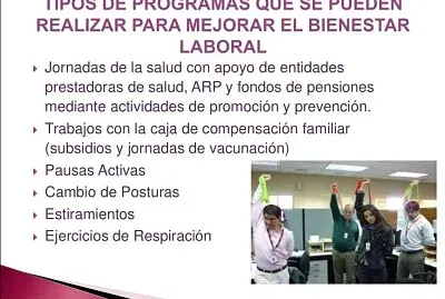 TIPOS DE PROGRAMAS DE BIENESTAR