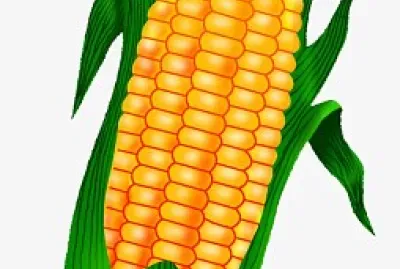 Carmen Oliveira jigsaw puzzle