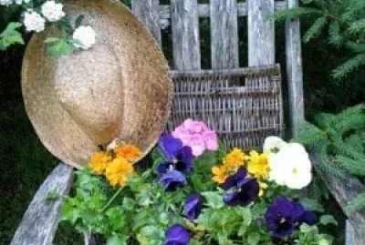 flores