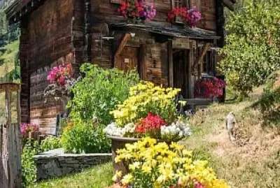 flores