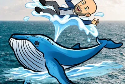 JUBARTE A BALEIA CAPIXABA