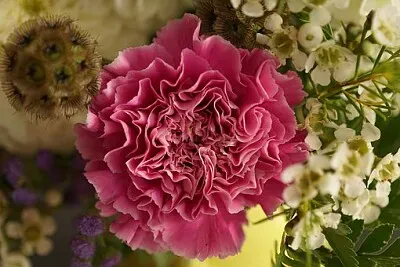 Foto jigsaw puzzle