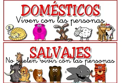 animales