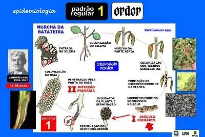 fitopatologia