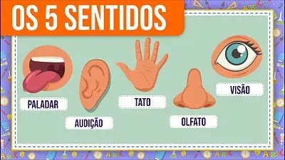 OS SENTIDOS