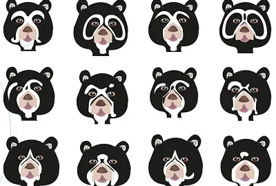 Oso Andino