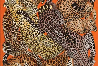 Lazy leopardesses