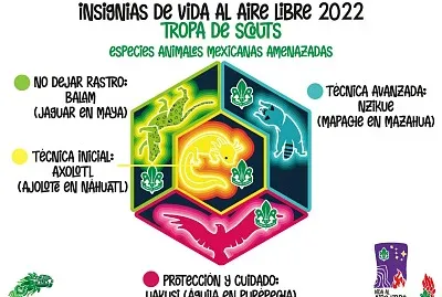 Insignias VAL Tropa