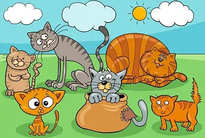 gatos