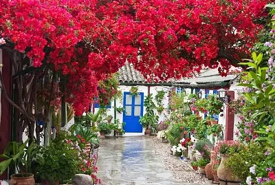 Córdoba (patio) jigsaw puzzle