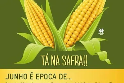 natural jigsaw puzzle