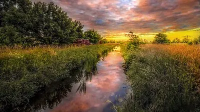 פאזל של imagem