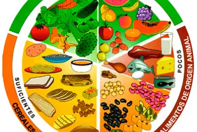 PLATO DEL BIEN COMER