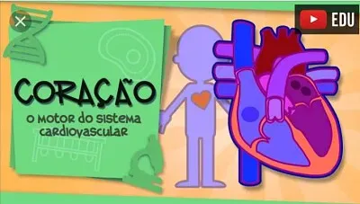 Sistema circulatório