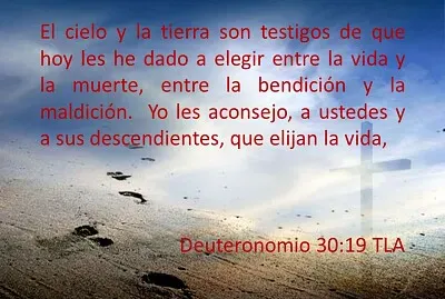 texto biblico