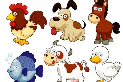 animales