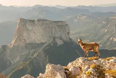 Le mont Aiguille-Hauts plateaux du Vercors