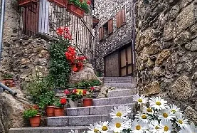 flores