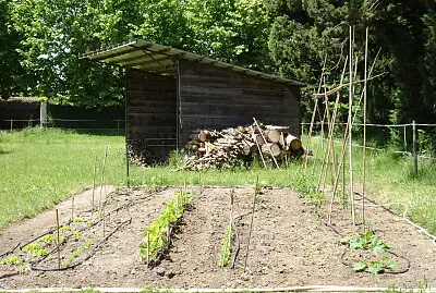 potager
