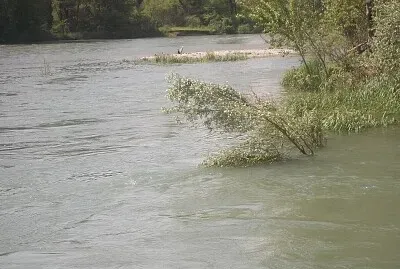 airone sull 'isolotto