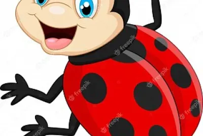 joaninha