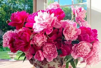 פאזל של flores