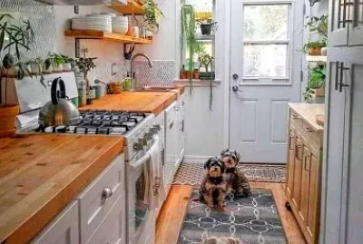 perro
