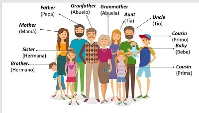 arma el rompecabezas de la familia en inglés