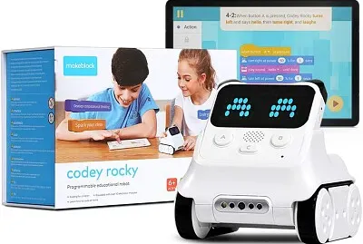 Codey Robot