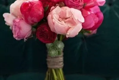 פאזל של flores