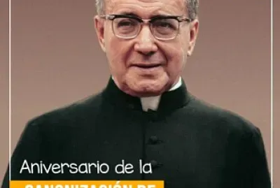 CEIBOMATCH jigsaw puzzle