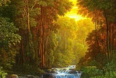 Forest pond