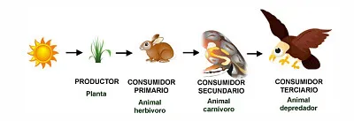 פאזל של cadena