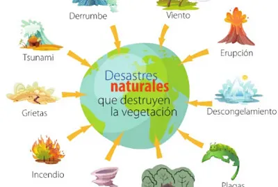 פאזל של deforest